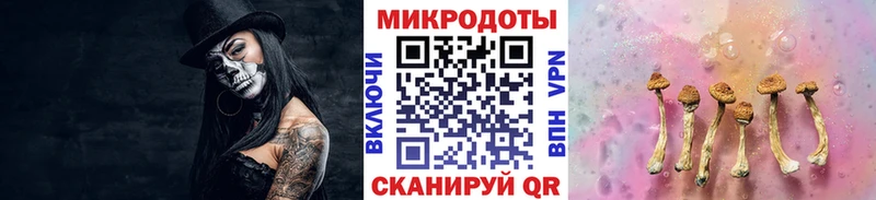 Галлюциногенные грибы Psilocybine cubensis  где продают наркотики  Кемь 